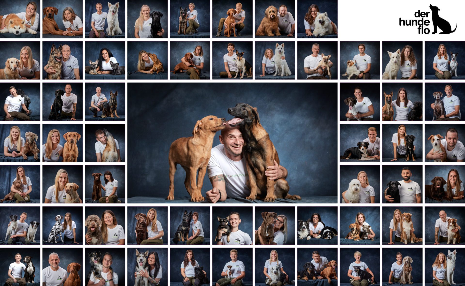 Hundeflo-Bild-Website-08-22