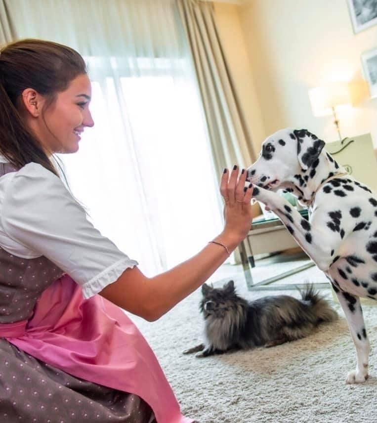 alpenhaus-gasteinertal-urlaub-mit-hund-e1606315389131-2