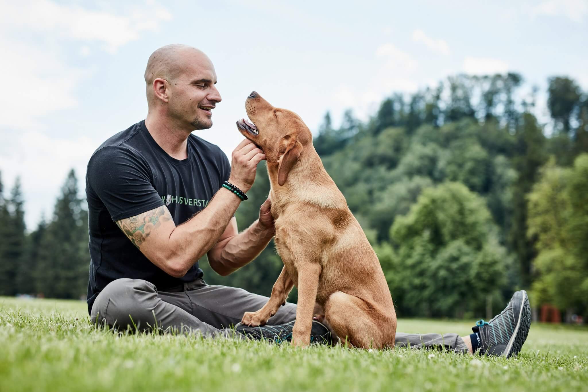 der-hundeflo-blog-neuer-hund