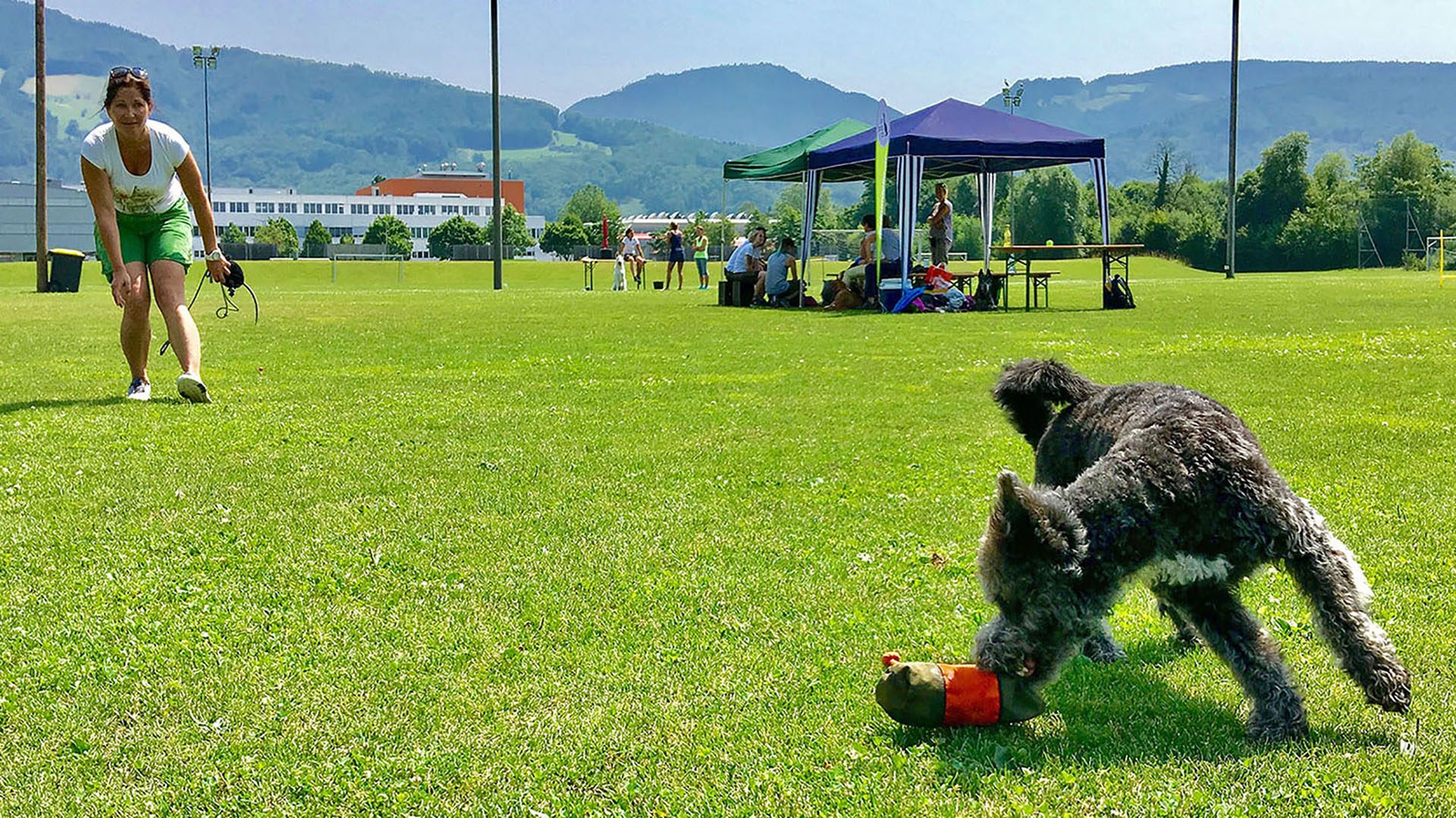 derhundeflo-workshops-beschaeftigung