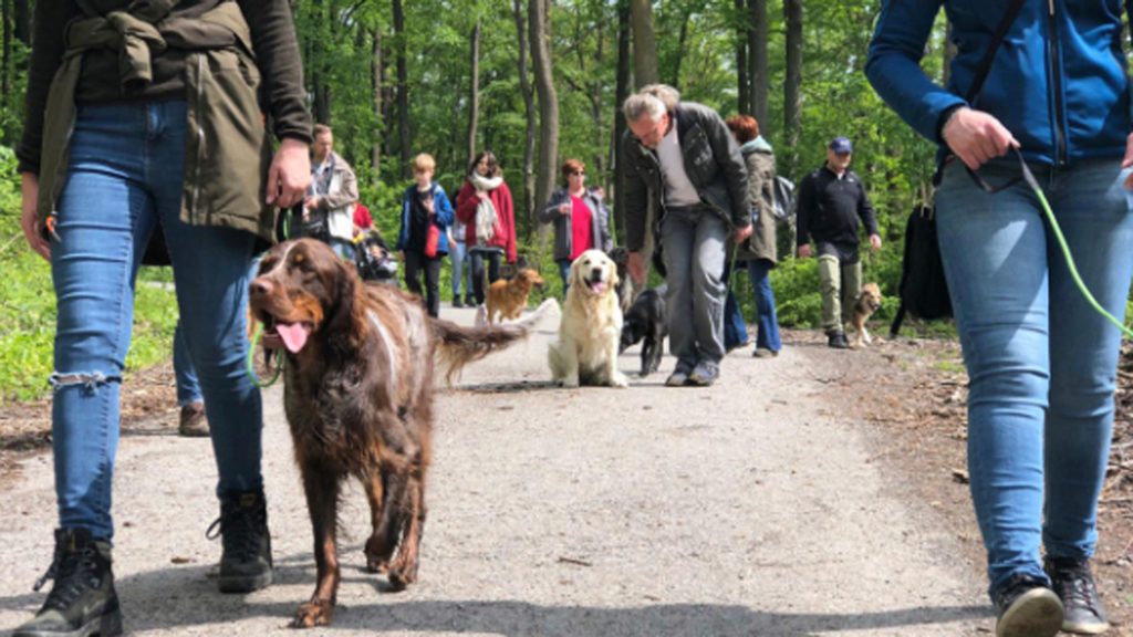 derhundeflo-workshops-hundebegegnung-2