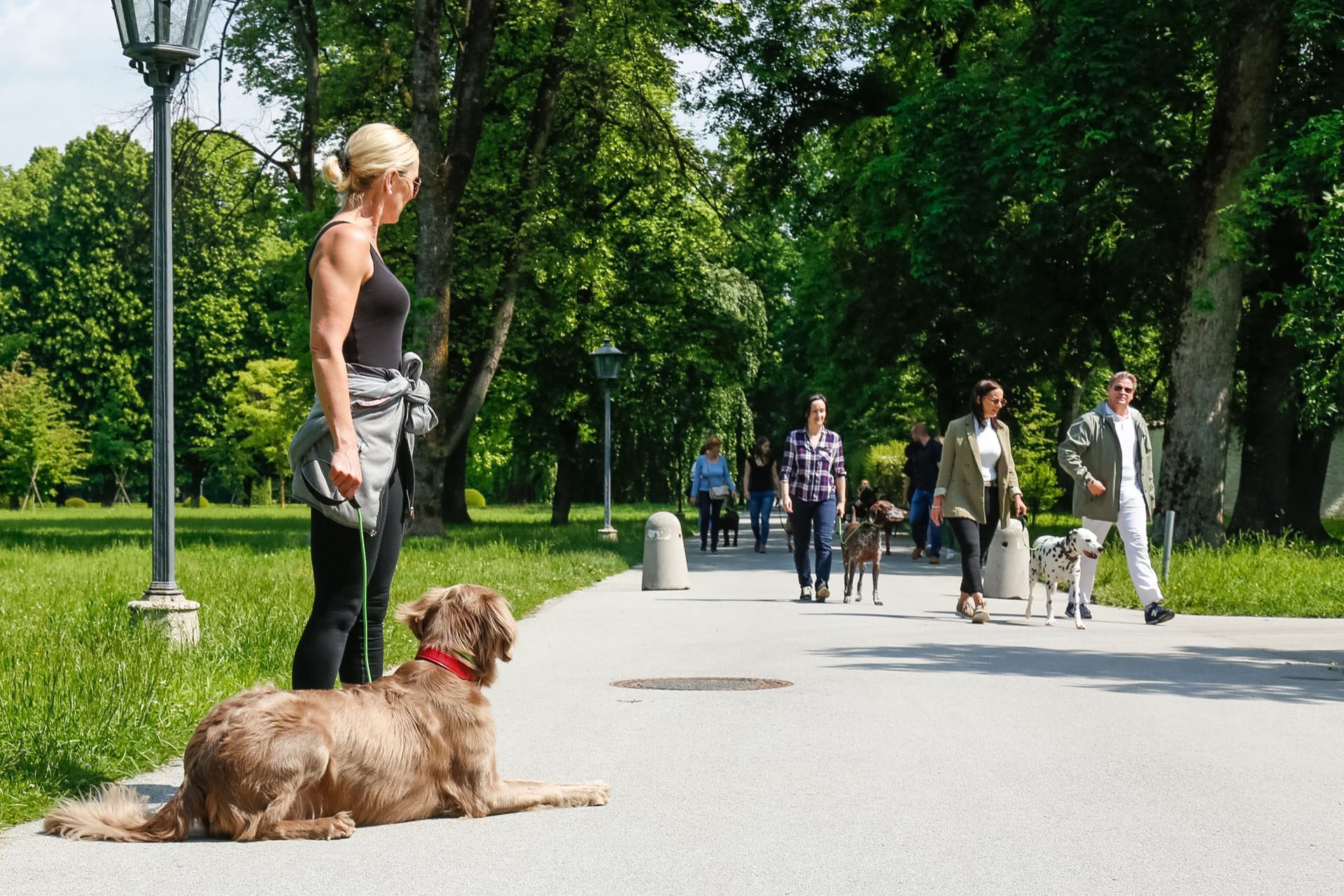 derhundeflo-workshops-hundebegegnung