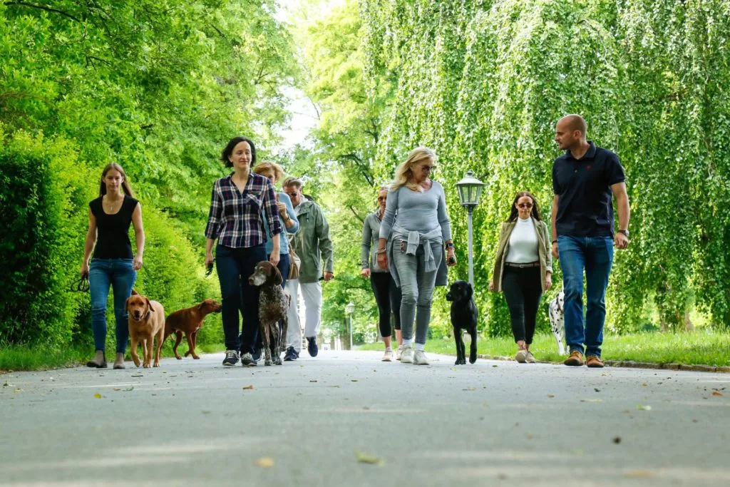 derhundeflo-workshops-intensiv-workshop