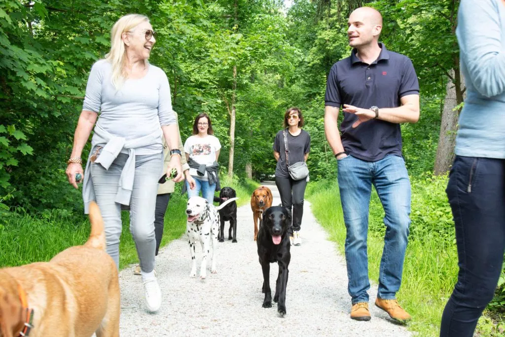 derhundeflo-workshops-spaziergang