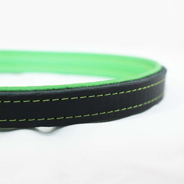 hundeflo_halsband_02.jpg