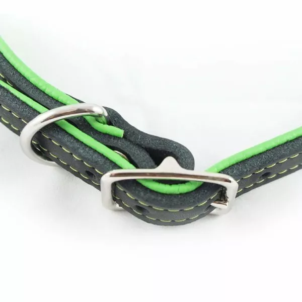 hundeflo_halsband_03.jpg