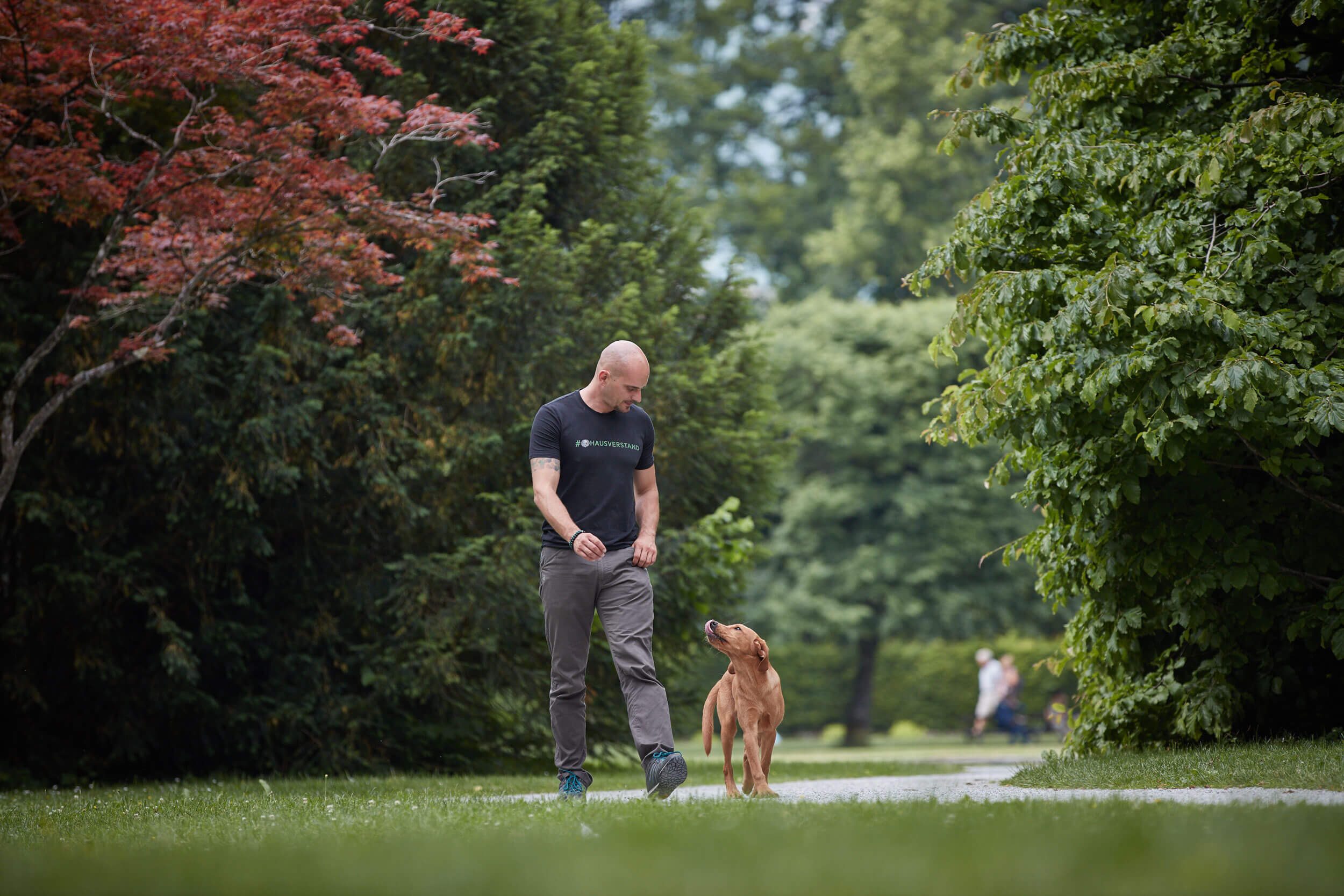 derhundeflo-workshops-grundlagen