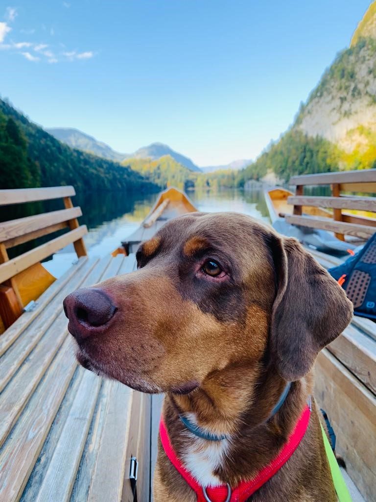 Urlaub mit Hund – Bootsfahrt mit Plätte – Narzissendorf Zloam