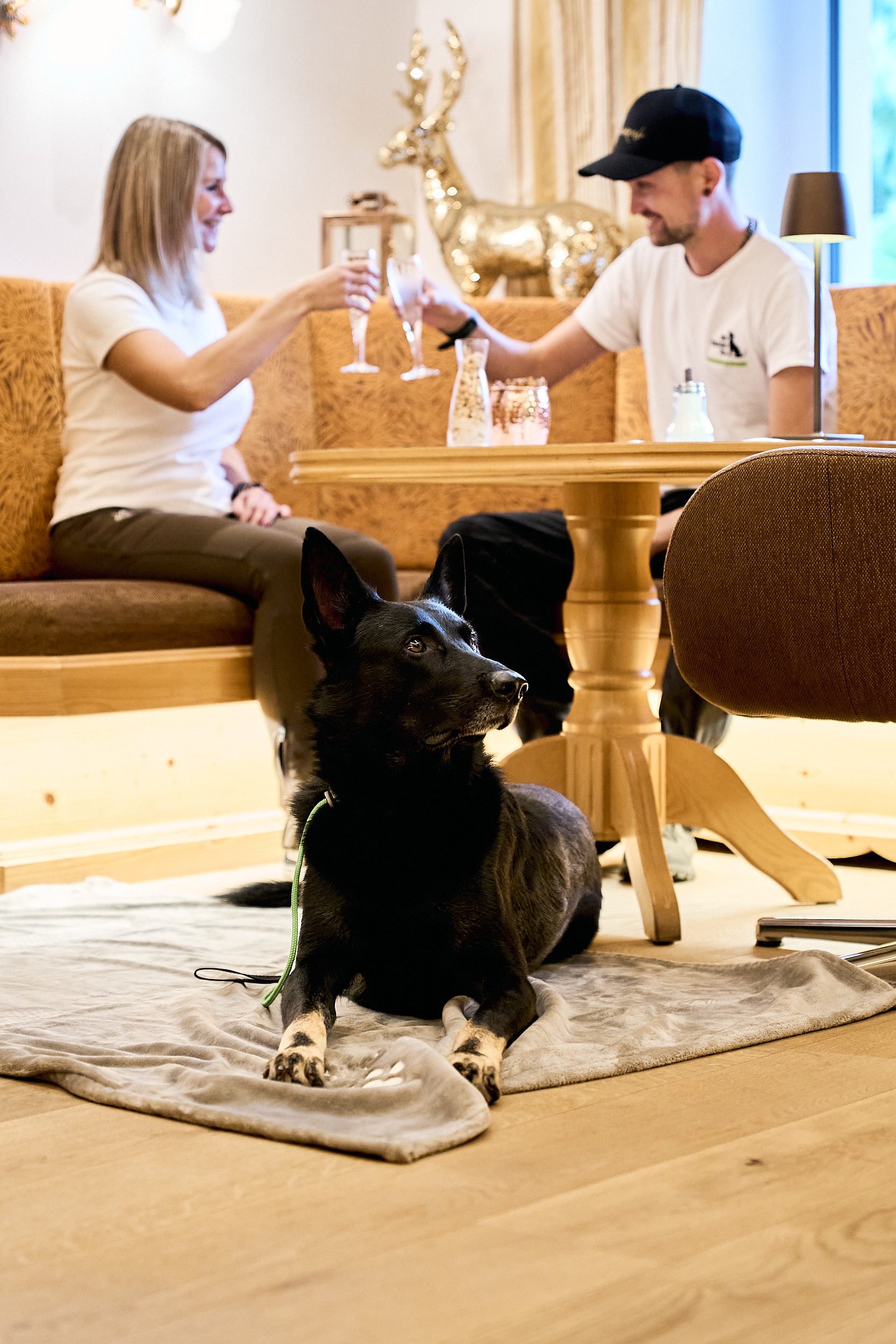 Hundeshooting AHK 0112