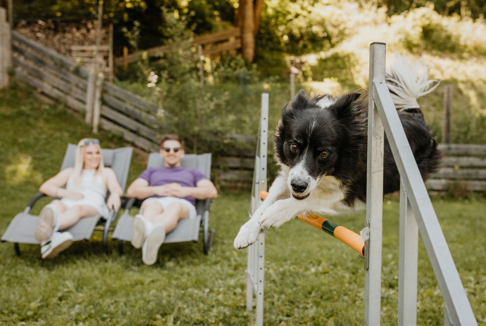 Hundehotel.Grimming00009