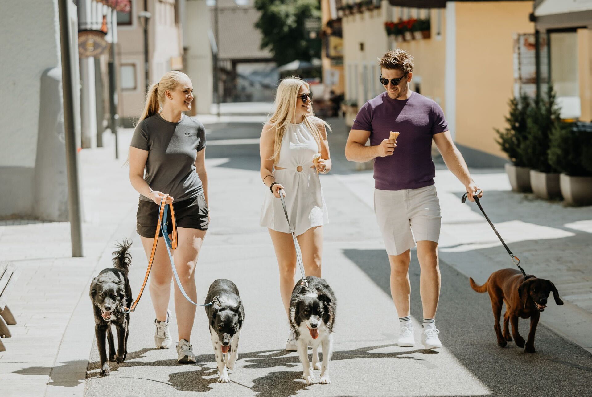 Hundehotel.Grimming00015