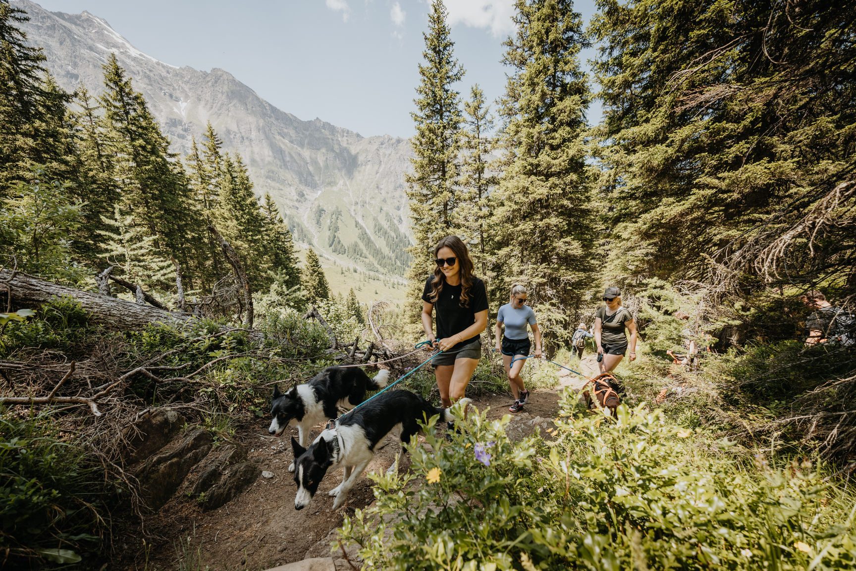 hotel-grimming-uralub-mit-hund